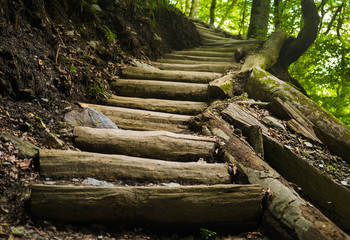 trail with wooden steps in the mountains