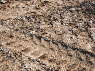Tire track