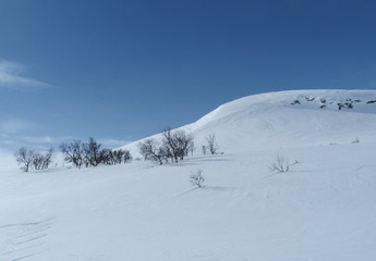 NordicMountain