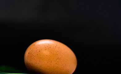 Chicken eggs on rustic black-and-white background