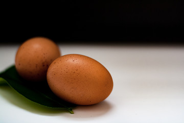 Chicken eggs on rustic black-and-white background