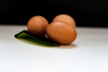Chicken eggs on rustic black-and-white background