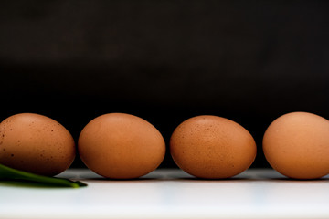 Chicken eggs on rustic black-and-white background