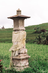 Bali Rice Terraces. Rice fields of Jatiluwi. Retro look film toned.