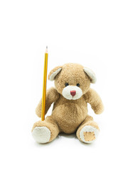 Brown teddy bear toy sitting holding yellow pencil on white background,for education background