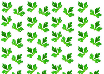Juicy parsley leaves