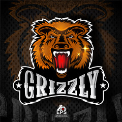 Beast face from the front with bared teeth. Logo for any sport team grizzly