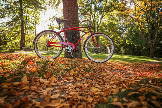  an old bike leaning against a tree toned with a retro vintage filter - Powered by Adobe