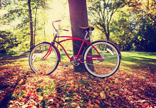  an old bike leaning against a tree toned with a retro vintage filter