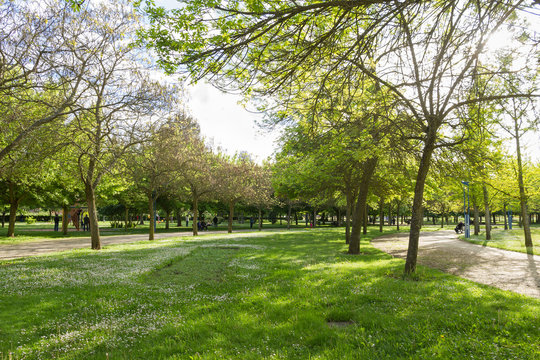 Parque Publico en Primavera con Gente 