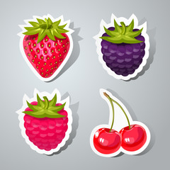 Four cute stickers with raspberry, strawberry, blackberry and cherry.