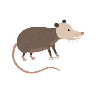 Clipart illustration of cute cartoon opossum
