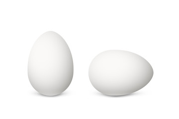 Two vector realistic white eggs. Isolated eggs on white background. 