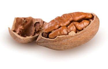 one pecan nuts isolated on white background