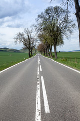 asphalt road through the green field and clouds on blue sky