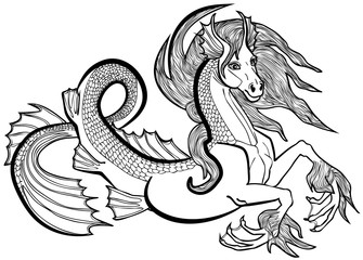 Vector illustration of hippocampus or kelpie fantasy horse black and white