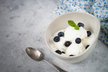 Vanilla Ice Cream with blueberries
