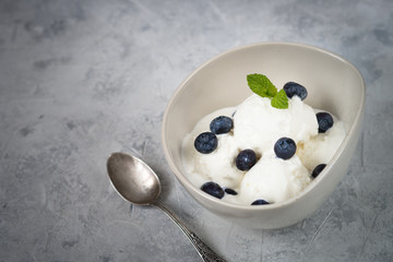 Vanilla Ice Cream with blueberries
