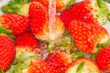 Washing Strawberries