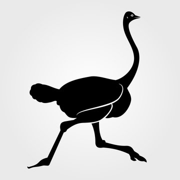 Running african Ostrich icon on a white background
