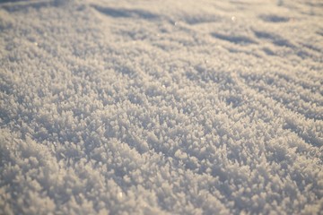 Snow coating during sunrise in winter. Slovakia