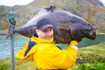 fisherman carries on his shoulder a huge fish. 25 kg halibut.