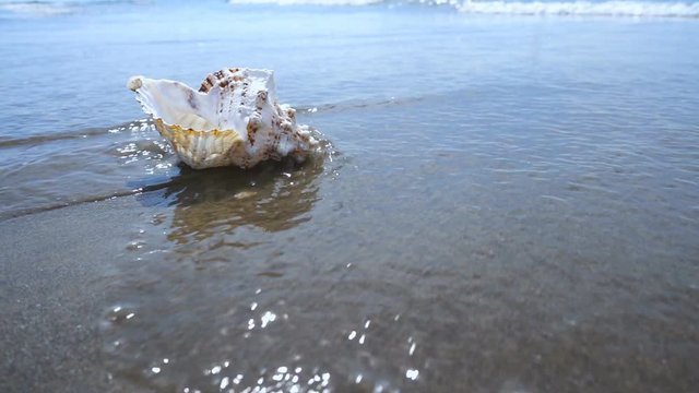 Slow Motion . sea waves rolled on the shall