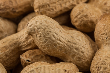 Pile of peanuts shells close up