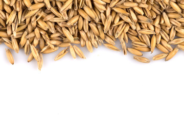 natural oat grains background, closeup