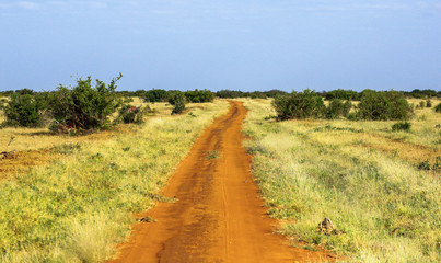 Fototapeta premium Road in Tsavo East National park. Kenya.