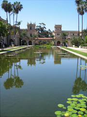 Lily pond, Balboa Park © lynn k watson