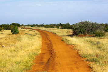 Fototapeta na wymiar Road in Tsavo East National park. Kenya.