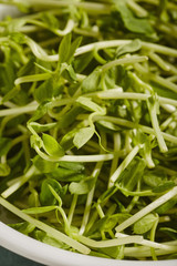 Pea sprouts
