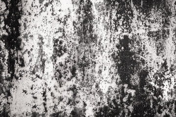 monochrome texture old wall background