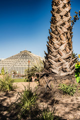 Phoenix famous park in the city of Nice