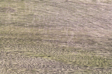 rosewood veneer texture