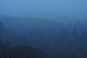 nebelverhangende Aussicht auf einen Wald im Winter nach Sonnenuntergang