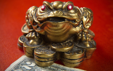 Fototapeta na wymiar Money frog and two dollars.