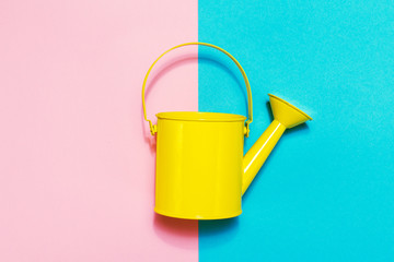 Colorful Watering Can on Colored Background. Flat Lay. Minimalistic Concept. Spring or Summer...