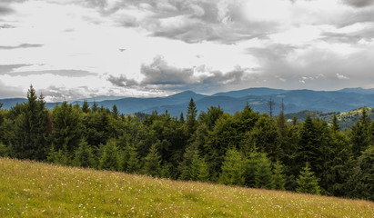 Fototapeta na wymiar Carpathians mountains landscape