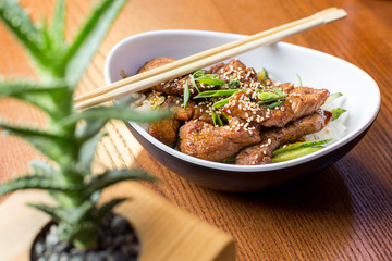 Teriyaki pork with rice