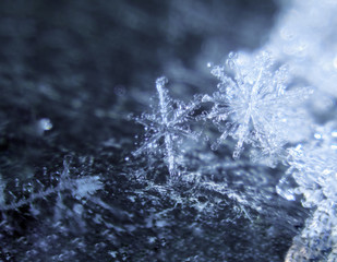 Snowflakes couple at the dark blue background