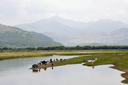 Porthmadog