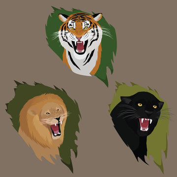 Big Cats image design set 
