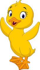 Duck cartoon
