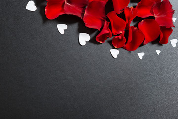 Beautiful red rose petals and white hearts. Postcard for Valentine's Day, March 8, mother's Day or wedding. Free space for text