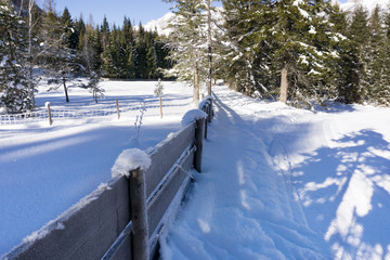 Obraz premium Winter rural landscape with wooden fence covered with snow and h