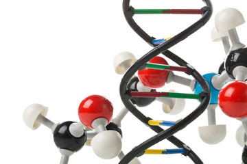 Fototapeta na wymiar Chemical molecule model and DNA structure model over white backg