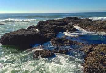 Oregon Tidal Pools