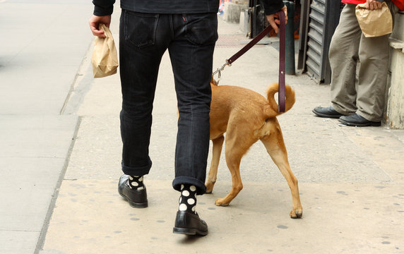 Walking with Paper Bag and Dog